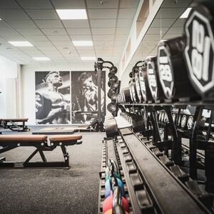 Studio Halle (Saale) - halfit